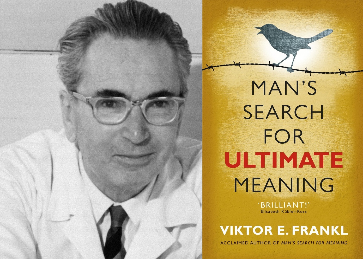 Man’s Search for Ultimate Meaning by Viktor E. Frankl – Feel Your Tempo